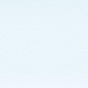 8538 BS HU15518 ABS Blue