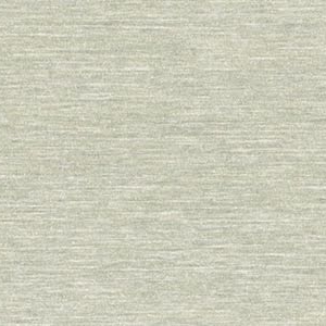 AL02 HD29902 ABS Brushed Platinum