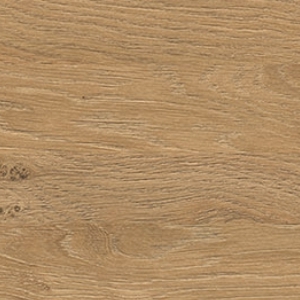 5527 SN HD246527 ABS Stone Oak
