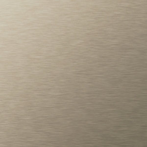 AL02 SM Brushed Platinum