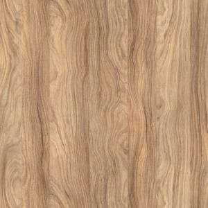 K021 SN Barley Blackwood