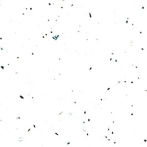 K217 GG 1354W ABS White Andromeda