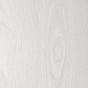 6679 SW Frassino Hielo