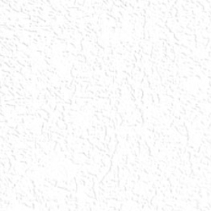 8685 RS 76873 ABS Snow White