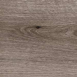 K366 PW HD24366 ABS Fossil Evoke