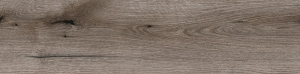 K366 PW HD24366 ABS Fossil Evoke