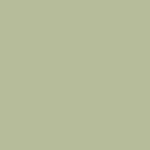 22458 MN Avocado Green