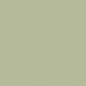 22458 MN 141314-00 Avocado Green