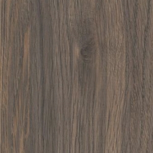 K2831 AN Oak Pallidus