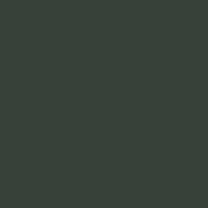 3141 LT AM 140607 ABS Olive Detour