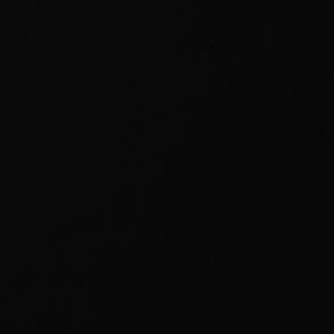 2461 LT/LT After Dark
