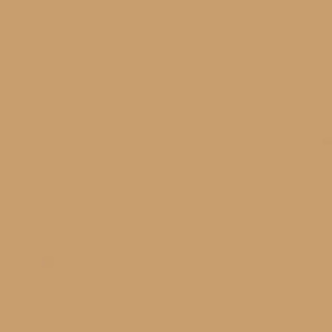22866 MN 141760 Mandarin Orange